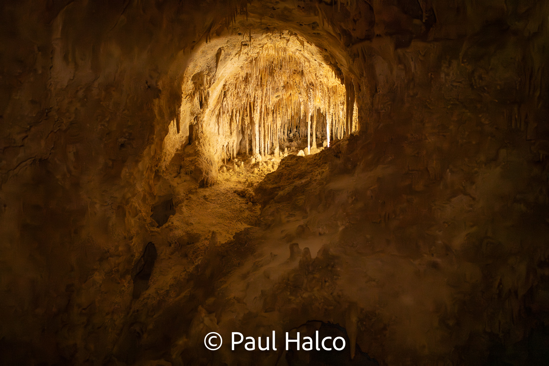 Paul Halco - Caralsbad Cavern NP-12